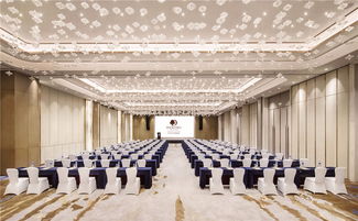 738平方米,高6米无柱大宴会厅,设计优雅,设备齐全,完美满足更多规模的